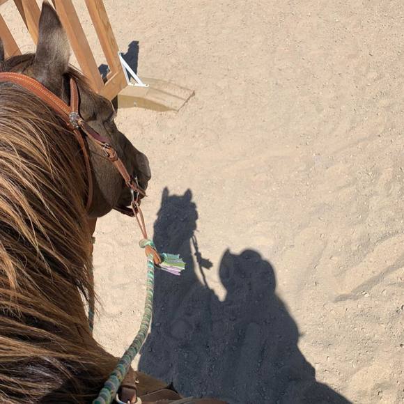 Meet your Posher, Brooke - Picture 1 of 1